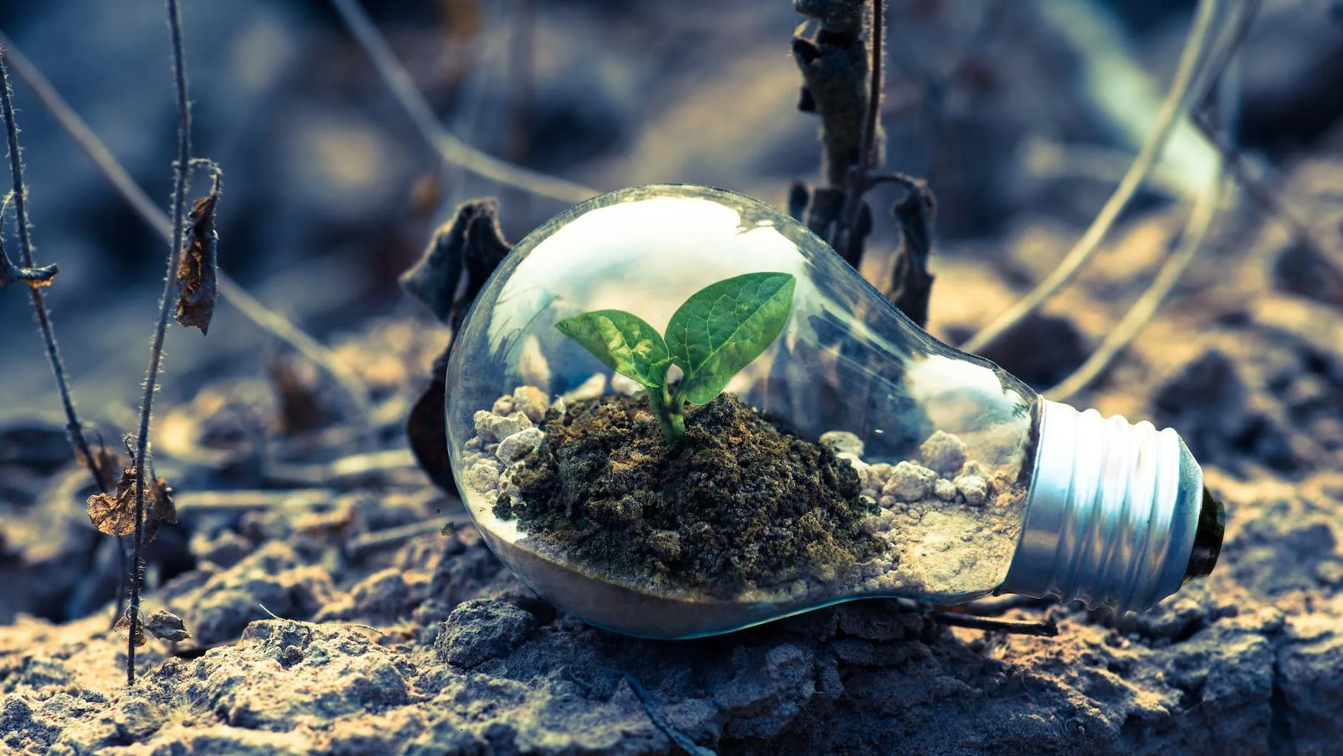 Ciencia aplicada, Tecnología desarrollo ambiental: Soluciones efectivas y sostenibles