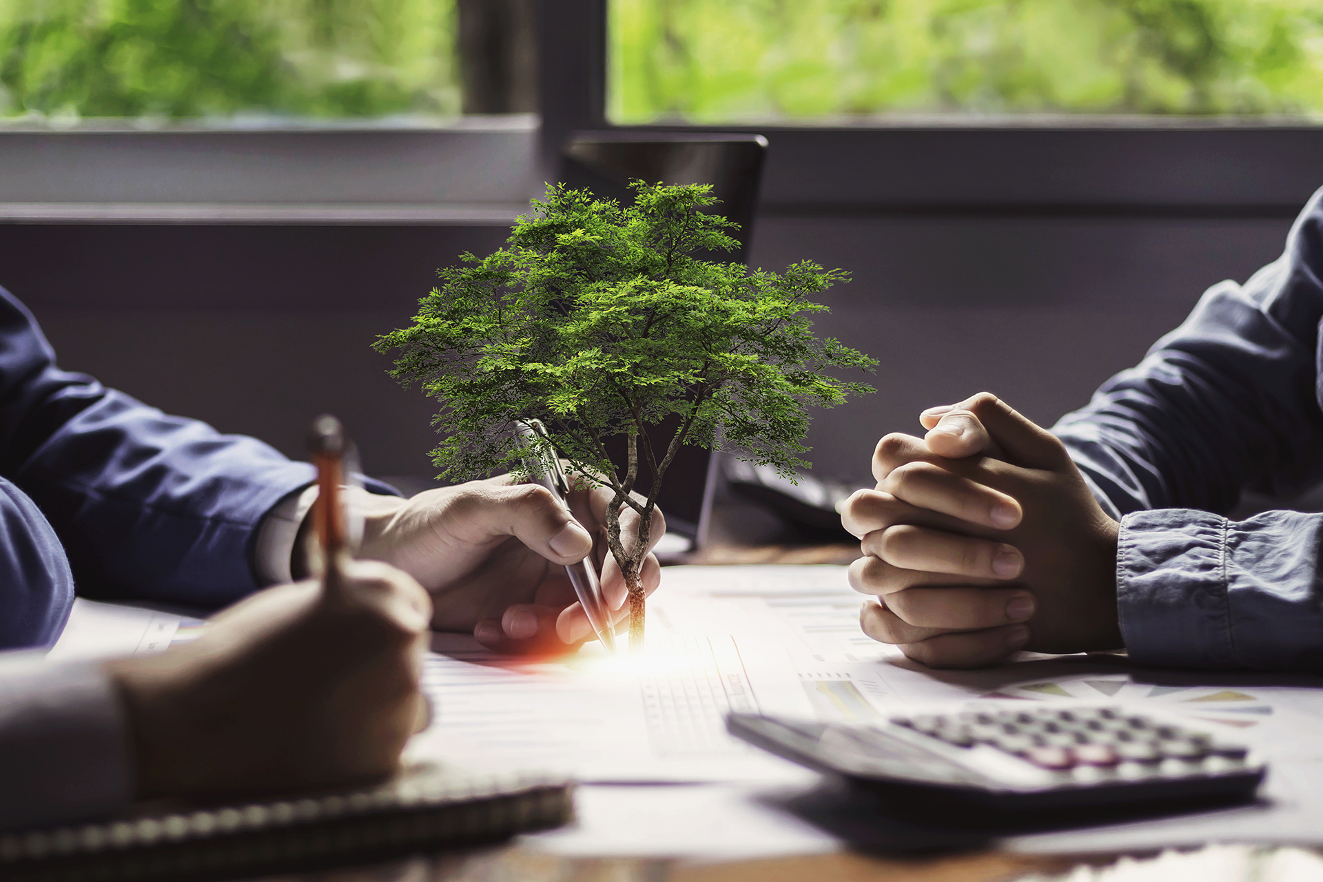 Consultoría Legal y Gestión Ambiental: Integrando sostenibilidad en Cumplimiento Normativo