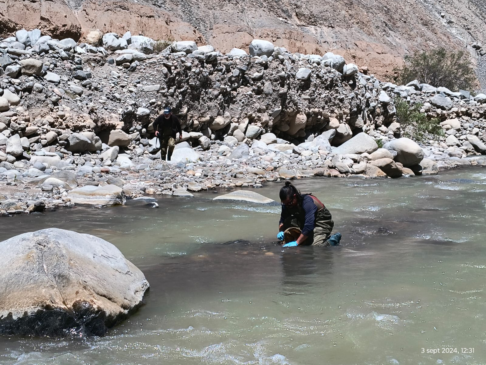 Trabajo de campo en río. Monitoreo y Análisis Para Evaluación y Conservación de Ecosistemas Acuáticos