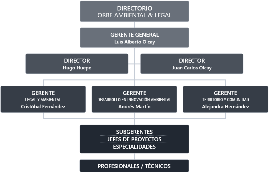 Estructura organizacional de Orbe Ambiental & Legal: Representación de nuestra organización interna y liderazgos