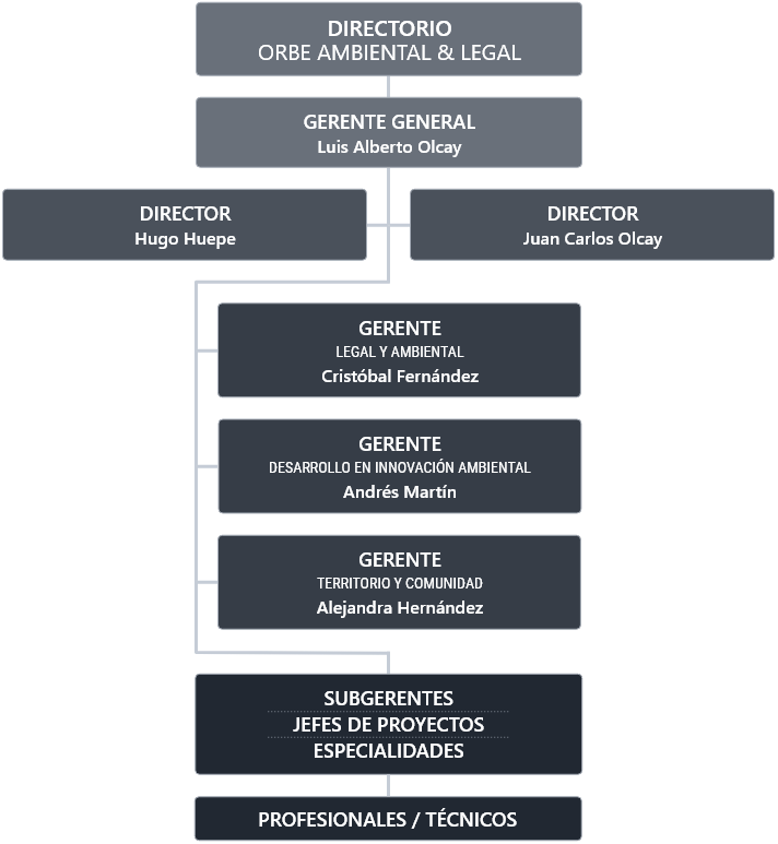 Estructura organizacional de Orbe Ambiental & Legal: Representación de nuestra organización interna y liderazgos