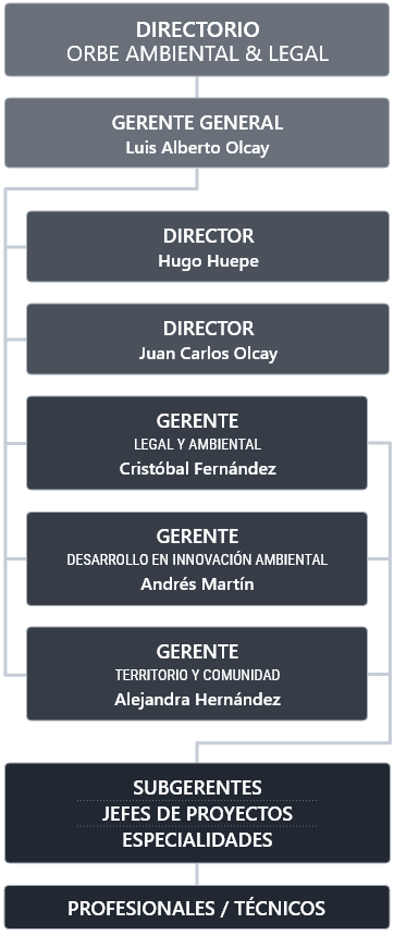 Estructura organizacional de Orbe Ambiental & Legal: Representación de nuestra organización interna y liderazgos